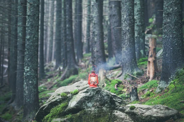 Hiking rocky path trail in foggy misty moody woodland — Stock Photo, Image