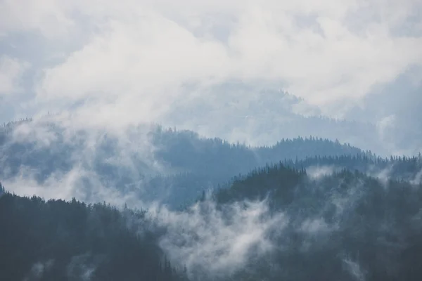 Paisaje brumoso de montaña y bosque. Niebla de verano y mañana nublada —  Fotos de Stock
