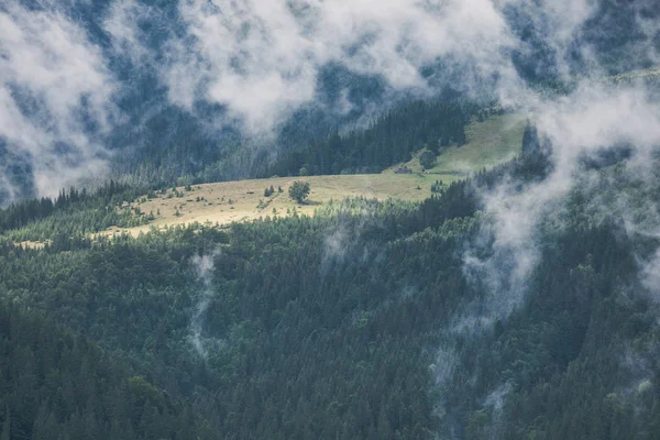 Mlhavá krajina hor a lesů. Letní mlhavo a zataženo ráno — Stock fotografie