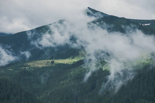 Paisaje brumoso de montaña y bosque. Niebla de verano y mañana nublada —  Fotos de Stock