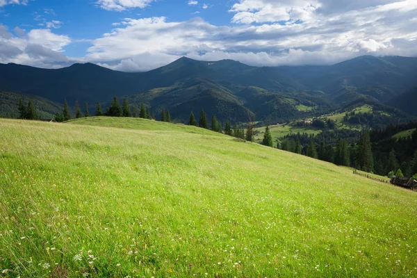 Yaz dağları yeşil çimenler ve mavi gökyüzü manzarası — Stok fotoğraf