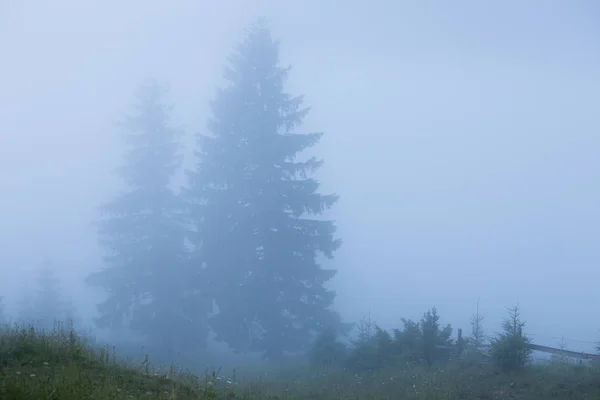 Туманный пейзаж с горным лесом. Панорамный вид — стоковое фото
