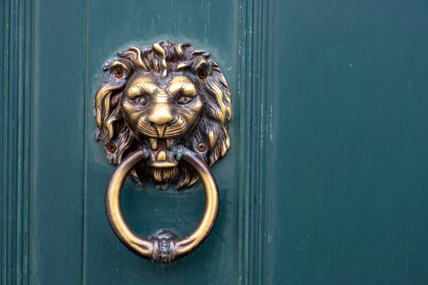 Golden door knocker in the shape of lion with ring on a wooden door — Stock Photo, Image