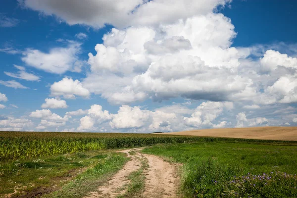 Longue et sinueuse route rurale traverse les collines et les champs — Photo