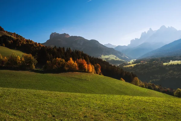 Magnífica vista soleada de los Alpes Dolomitas con alerces amarillos — Foto de Stock