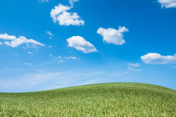 화창한 여름의 잔디밭의 파노라마 뷰 — 스톡 사진