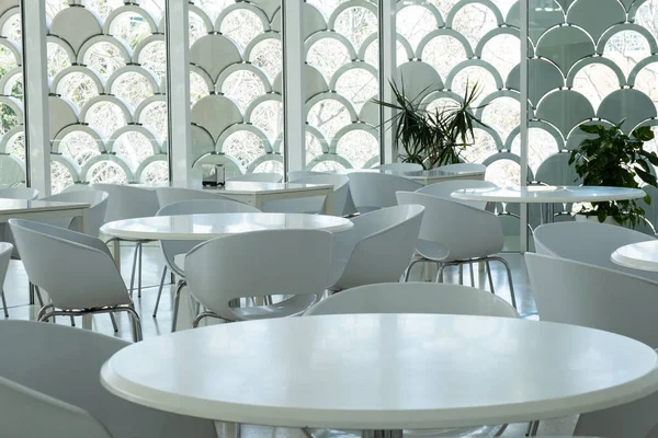 Yeni ve temiz bir lüks restoranda Avrupa tarzı — Stok fotoğraf