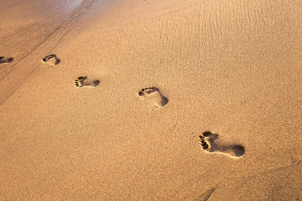 Praia, onda e pegadas na praia tropical ao pôr do sol — Fotografia de Stock