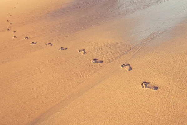 Пляж, волна и следы на тропическом пляже на закате — стоковое фото