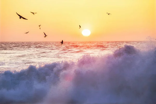Puesta de sol sobre el océano. Panorama de olas oceánicas, gaviotas y puesta de sol. Florida, Estados Unidos —  Fotos de Stock