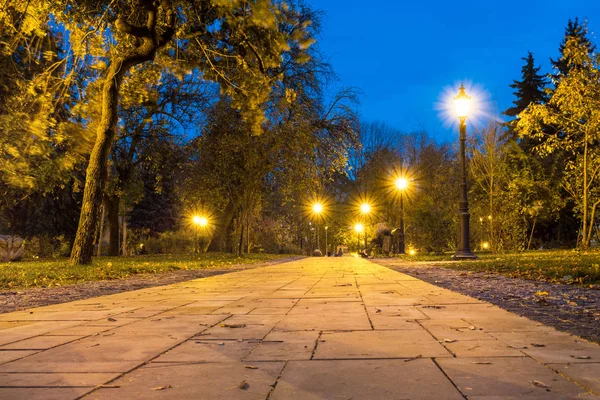 Nocny park miejski. Drewniane ławki, lampki uliczne i aleja parkowa — Zdjęcie stockowe