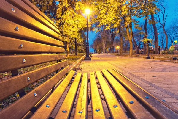 Parc nocturne. Bancs en bois, lampadaires et allée du parc — Photo