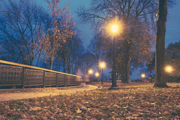 Noční městský park. Dřevěné lavičky, pouliční osvětlení a parková ulička — Stock fotografie