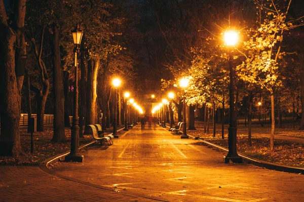 Noční městský park. Dřevěné lavičky, pouliční osvětlení a parková ulička — Stock fotografie