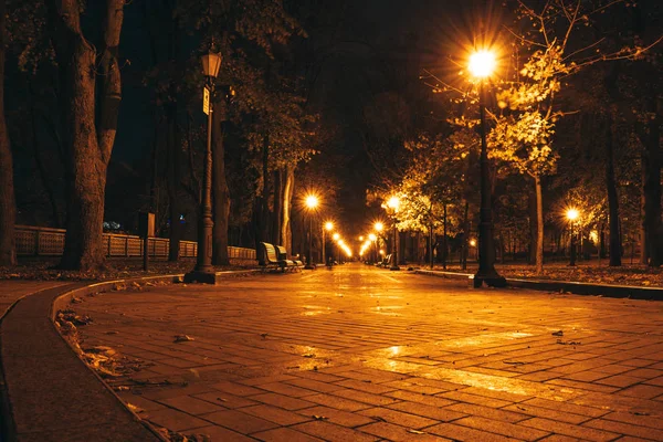 Parco cittadino notturno. Panchine in legno, lampioni e vicolo del parco — Foto Stock