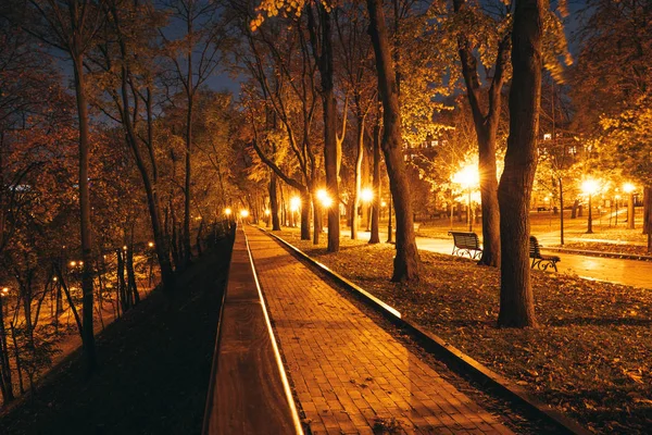 Parque nocturno. Bancos de madeira, luzes de rua e beco do parque — Fotografia de Stock