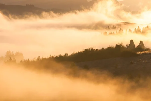 Zonsopgang op rokerige bergen. Great smoky mountains Nationaalpark, Verenigde Staten — Stockfoto