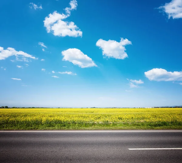 Camino de asfalto entre el campo de verano bajo el cielo azul nublado —  Fotos de Stock