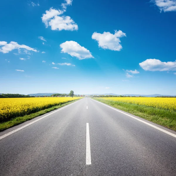 Route asphaltée au milieu du champ d'été sous un ciel nuageux bleu Photos De Stock Libres De Droits