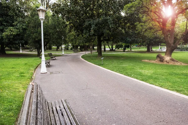 緑の都市公園で日光。春の時間自然公園の風景 — ストック写真