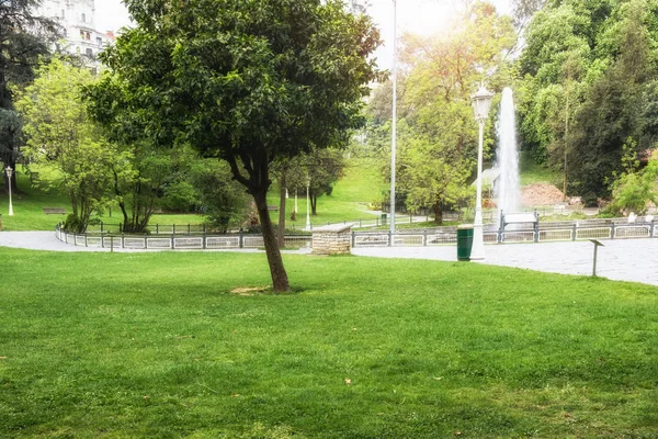 Sonnenlicht im grünen Stadtpark. Naturpark-Landschaft im Frühling — Stockfoto