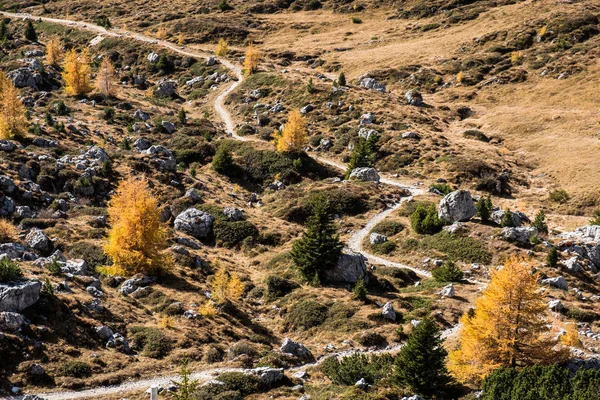 Καταπληκτικό φθινόπωρο αγροτικό τοπίο με κίτρινα δέντρα σε προσκήνιο και ορεινούς λόφους στο παρασκήνιο. Άλπεις-Δολομίτες, Ιταλία — Φωτογραφία Αρχείου