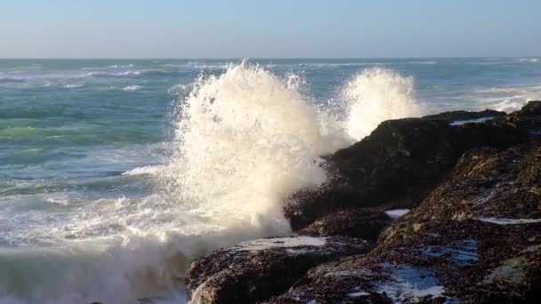 Video Movimiento Lento Olas Oceánicas Aplastando Costa Rocosa Poder Espantoso — Vídeo de stock
