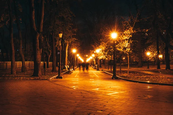 Parco cittadino notturno. Panchine in legno, lampioni e vicolo del parco — Foto Stock