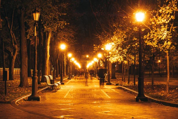Parque nocturno. Bancos de madeira, luzes de rua e beco do parque — Fotografia de Stock