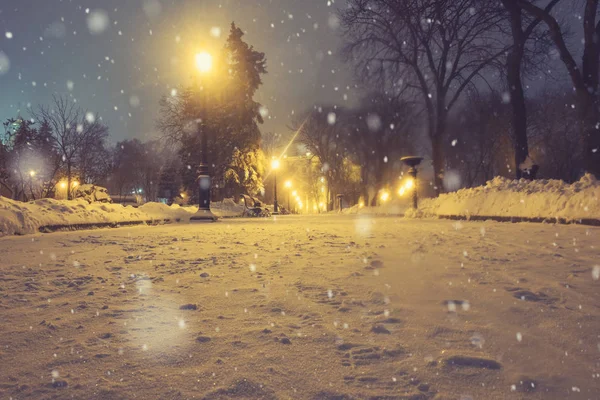 Sendero en un fabuloso parque de invierno de la ciudad —  Fotos de Stock