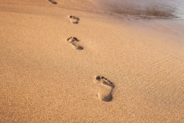 Plaj, dalga ve ayak izleri tropikal sahilde gün batımında — Stok fotoğraf