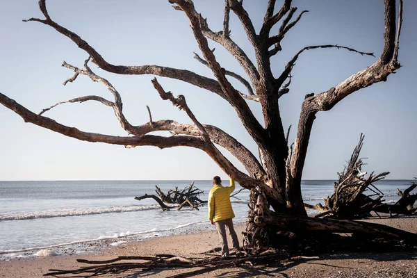 Árbol solitario y hombre. Botany Bay beach, Edisto Island, Carolina del Sur, EE.UU. — Foto de Stock