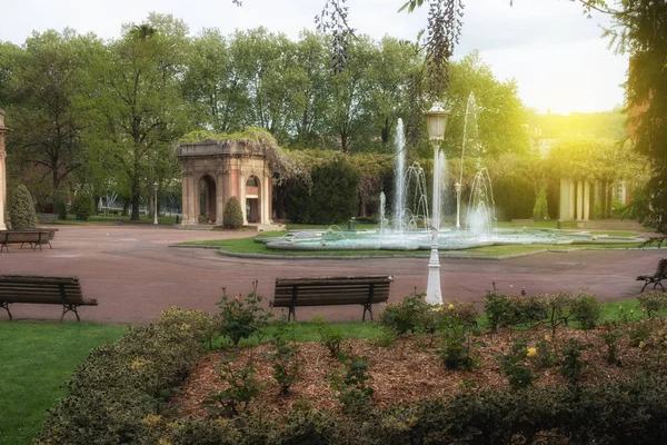 都市公園で噴水。晴れた日の緑の夏の公園 — ストック写真