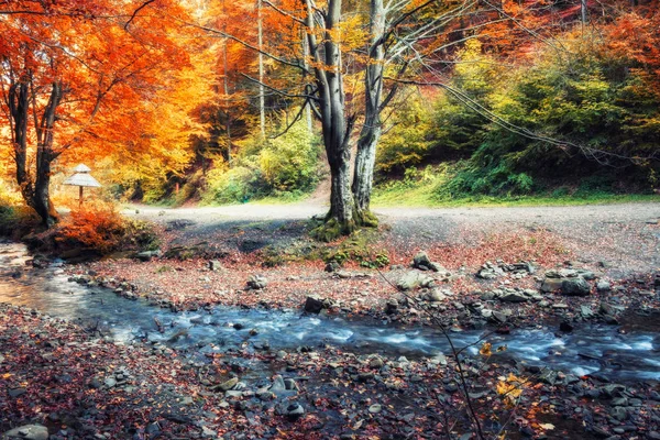 Small river in a forest on a autumnal day — Stock Photo, Image