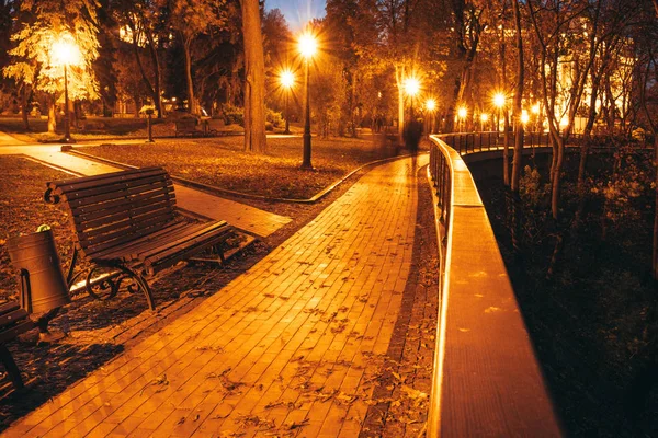 Noční městský park. Dřevěné lavičky, pouliční osvětlení a parková ulička — Stock fotografie