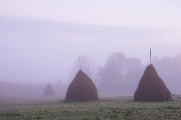 Landschaft in den Bergen am Morgen. grasbewachsene ländliche Hänge mit Feldern und Bäumen im Herbstlaub. schöne Herbstkulisse mit Nebel im Tal. — Stockfoto