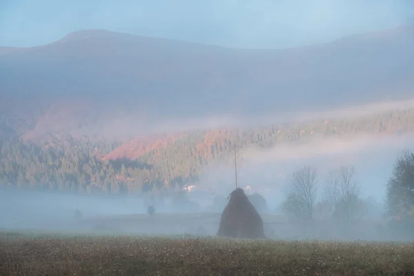 Landschaft in den Bergen am Morgen. grasbewachsene ländliche Hänge mit Feldern und Bäumen im Herbstlaub. schöne Herbstkulisse mit Nebel im Tal. — Stockfoto
