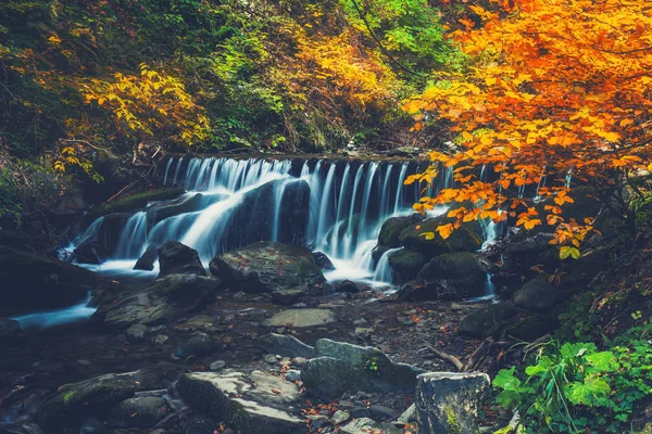Bir ormanda küçük nehir bir otumnal gün — Stok fotoğraf