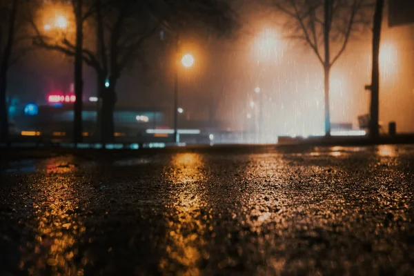 城市公园的雾和雨夜 — 图库照片