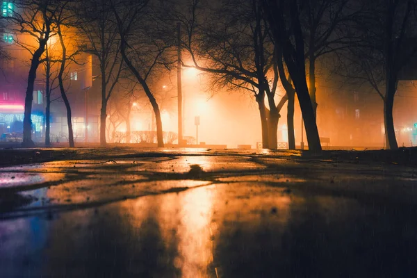 Mgliste i deszczowa noc w parku miejskim — Zdjęcie stockowe