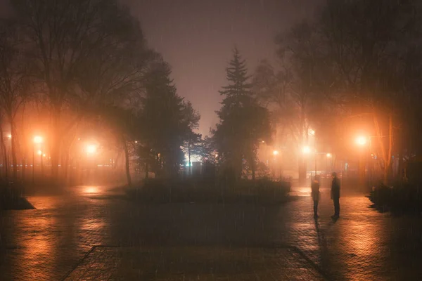 Mistige en regenachtige nacht in een stadspark — Stockfoto