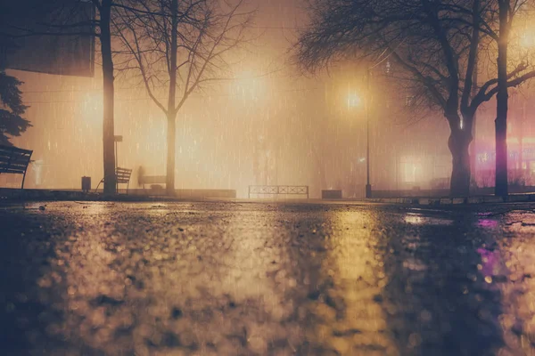 Туманная и дождливая ночь в городском парке — стоковое фото