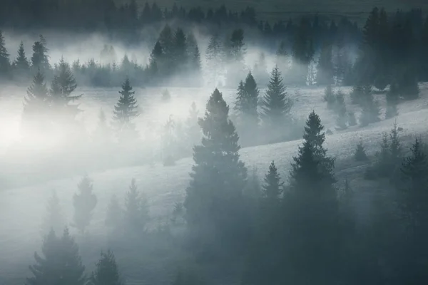 Majestuoso paisaje de montañas de verano. Una vista de las laderas brumosas de las montañas en la distancia. Mañana brumoso bosque de coníferas colinas en la niebla y rayos de luz solar.Fondo de viaje . — Foto de Stock