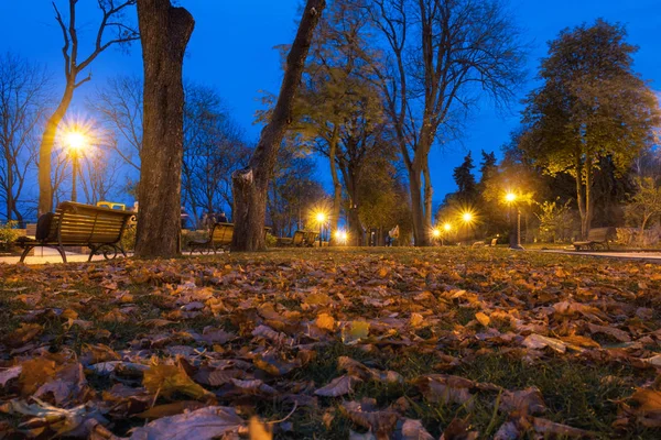 Night city park. Wooden benches, street lights and park alley — Stock Photo, Image