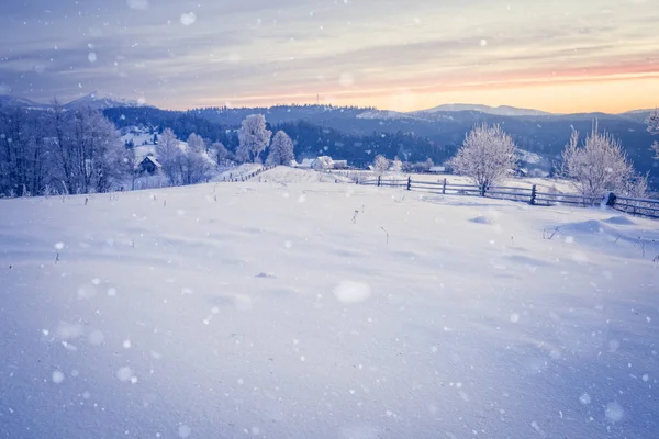 Paisaje invernal. Camino de invierno y árboles cubiertos de nieve —  Fotos de Stock
