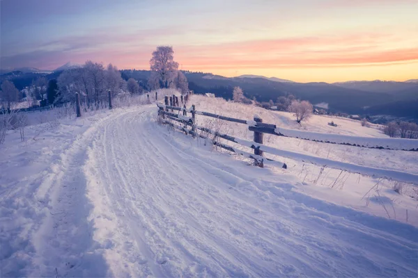 Paisaje invernal. Camino de invierno y árboles cubiertos de nieve —  Fotos de Stock