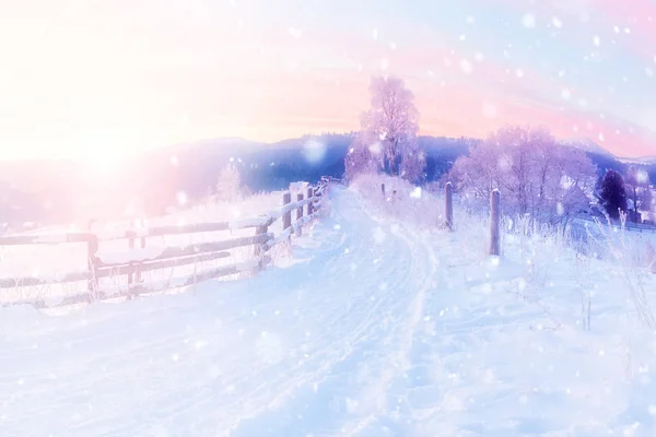 Christmas winter background with snow and blurred bokeh — Stock Photo, Image