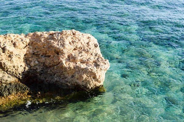 一块棕色的大石头 一块满是泥浆的岩石 海中的藻类 在蓝水的背景下 在礁石底部 复制了这个地方 — 图库照片
