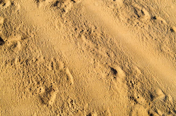 라인아름 노란색 느슨한 모래입니다 텍스처 — 스톡 사진