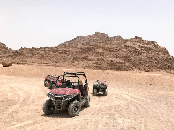 A lot of four-wheeled multicolored powerful fast off-road four-wheel drive buggies, cars, SUVs in the sandy hot desert on the sand in the parking lot against the background of high mountains.